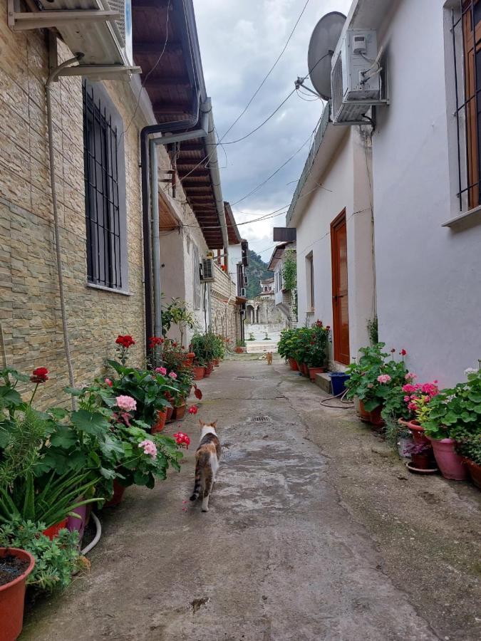 Herta Apartment Berat Kültér fotó